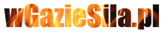 wGazieSila.pl